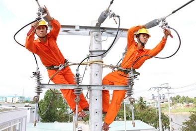 Dịp Tết Nguyên đán Kỷ Hợi: Mỗi ngày cả nước tiêu thụ gần 391 triệu kWh điện 