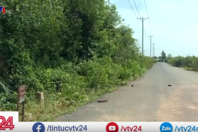 Đầu tư đất nền 2019: Không còn ngon ăn cho dân chơi lướt sóng