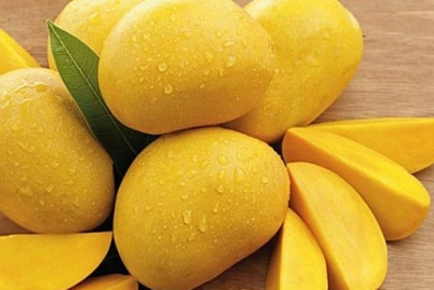 Sau gần 10 năm đàm phán xoài Việt Nam chính thức được cấp phép vào Mỹ