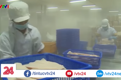 Kế hoạch 2019: Ngành thủy sản đặt mục tiêu 10 tỷ USD