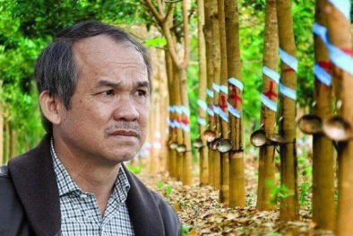 Cao su quay lại thời hoàng kim, bầu Đức vẫn ngậm ngùi báo lỗ