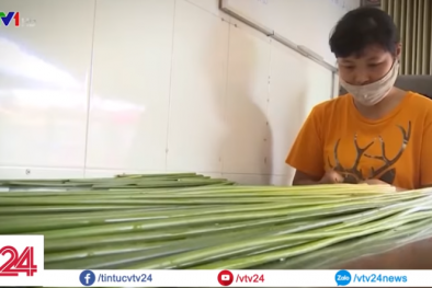 Ống hút từ cỏ, tre bảo vệ môi trường