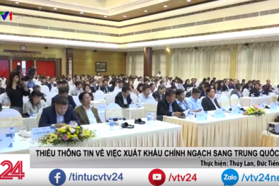 Thiếu chỉ dẫn xuất khẩu chính ngạch sang Trung Quốc