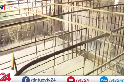 Toàn cảnh Dịch tả lợn Châu Phi