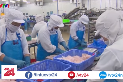 Bảo đảm xuất xứ để hưởng lợi từ CPTPP