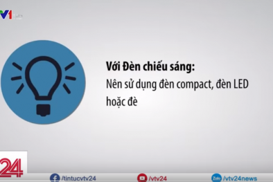 Các mẹo tiết kiệm điện trong mùa nắng nóng