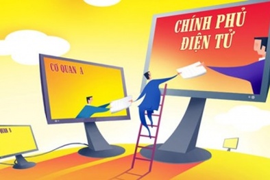 Việt Nam đặt mục tiêu tăng xếp hạng Chính phủ điện tử từ 10 đến 15 bậc