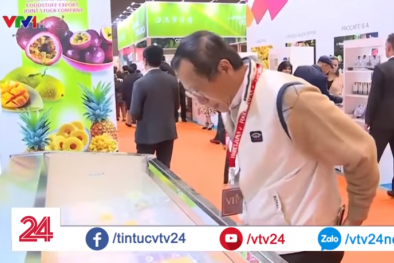 Nông sản ASEAN bị cạnh tranh gay gắt tại thị trường Nhật