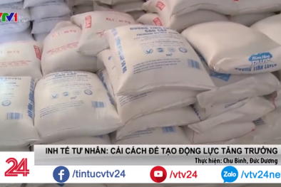 Doanh nghiệp tư nhân cần làm gì để vươn tầm quốc tế?