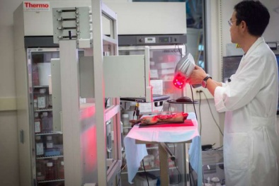 Chữa bỏng bằng công nghệ 'photocopy'