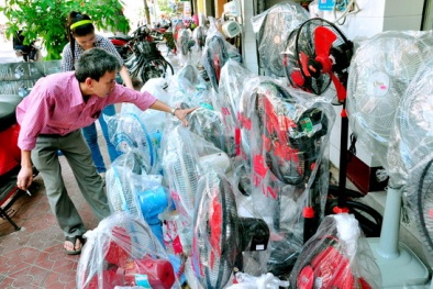 Mẹo chọn quạt điện chuẩn nhất cho mùa hè