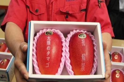 'Giật mình' với xoài Nhật giá siêu đắt 1,7 triệu đồng/quả