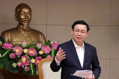 Chính phủ sẽ kiểm soát CPI năm 2019 từ 3,3-3,9%