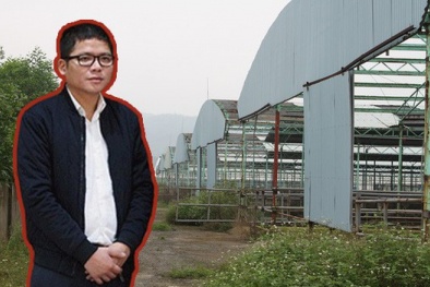 Vì sao con trai 35 tuổi của cựu Chủ tịch Ngân hàng BIDV bị bắt giữ?