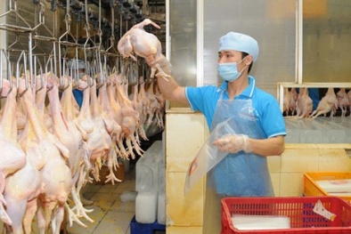 Giá thịt gà, thủy hải sản tăng mạnh tại TP.HCM