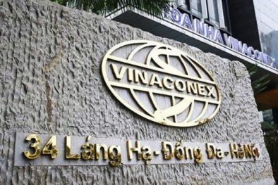 Chủ tịch Vinaconex: 'Một số cổ đông đang tự bôi bùn lên mình, làm nhà đầu tư mất niềm tin'