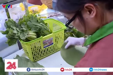 Trào lưu bảo vệ môi trường 