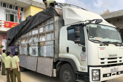 Bắt giữ nhiều đồ điện gia dụng nhập lậu tại Quảng Bình