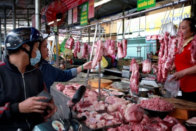 Dịch tả lợn Châu Phi được kiểm soát, giá lợn thịt, lợn hơi tăng mạnh