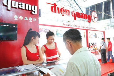 Cổ phiếu Bóng đèn Điện Quang tụt dốc sau lệnh phạt 38 tỷ của Tổng cục Thuế 