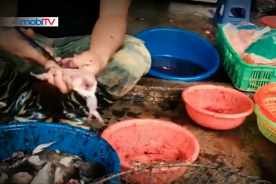 Ếch Trung Quốc ngập chợ: Con buôn hám lợi, người ăn lĩnh đủ
