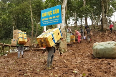 Phó Thủ tướng Thường trực Chính phủ chỉ đạo xử lý nghiêm vụ buôn lậu tại Lạng Sơn