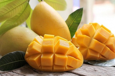 8 tấn xoài Việt Nam đầu tiên xuất khẩu sang thị trường Mỹ