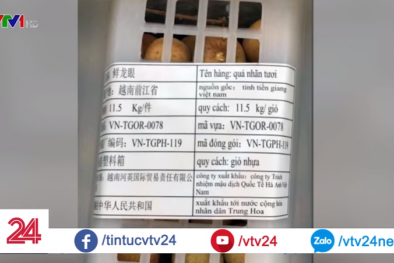 Nếu không có tem truy xuất nguồn gốc, hoa quả Việt hết đường sang Trung Quốc chính ngạch