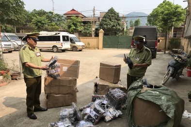 6 xe ô tô khách 'trá hình' chở hàng hóa có dấu hiệu nhập lậu bị tạm giữ