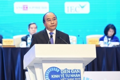 Thủ tướng Nguyễn Xuân Phúc: Cần kích hoạt tốt hơn nữa khu vực kinh tế tư nhân