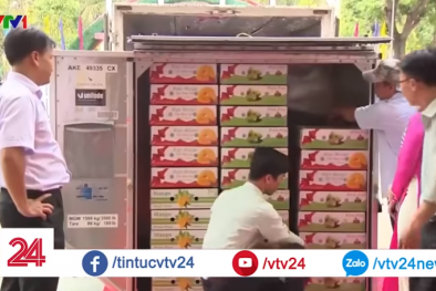 Chiếu xạ trái cây để xuất khẩu đi Mỹ: Sân chơi 'một mình một ngựa'