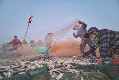 Quy Nhơn trong trải nghiệm tuyệt vời của những phóng viên nước ngoài