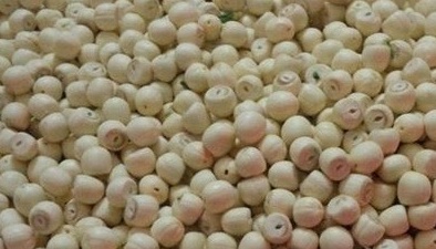 Sen vào vụ, hạt sen Huế ‘cháy hàng’, loạn giá: Dấu hiệu nhận biết