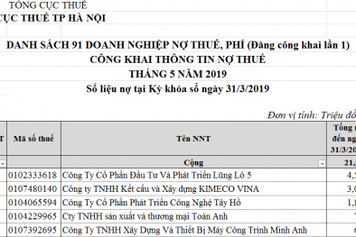 Hà Nội: Công ty CP Đầu tư và Phát triển Lũng Lô 5 đứng đầu danh sách nợ thuế, phí, tiền thuê đất