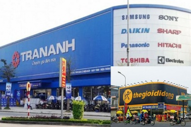 Trần Anh thoát lỗ nhờ Thế giới Di động