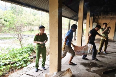 Nhập lậu nầm lợn đã bốc mùi hôi thối từ Trung Quốc về Việt Nam tiêu thụ