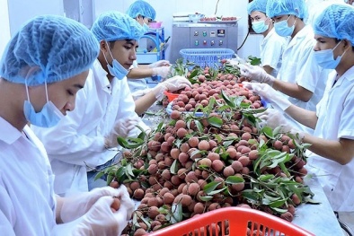 Trung Đông: Thị trường tiềm năng của hàng hóa Việt Nam