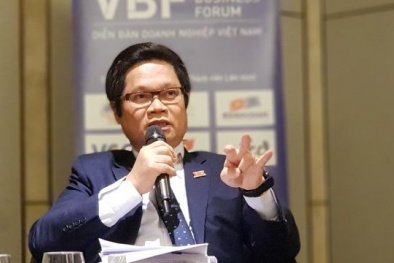 Chủ tịch VCCI: Hiệp định EVFTA là nền tảng giúp Việt Nam - EU quay trở về thời hoàng kim