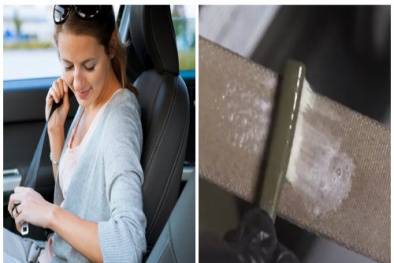 Lười vệ sinh dây đai an toàn ô tô tiềm ẩn nguy cơ lây bệnh khó lường