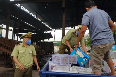 Phát hiện hơn 1 tấn hoa quả nhập lậu đang trên đường mang đi tiêu thụ