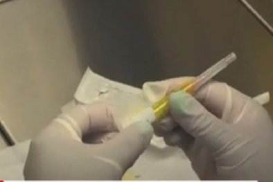 Loại bỏ virut HIV khỏi DNA của những con chuột bị nhiễm bệnh, hy vọng mới cho con người