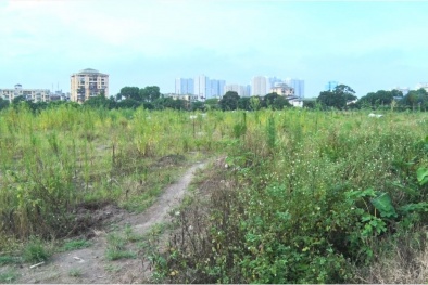 Dự án Louis City Tân Mai đi đâu về đâu?