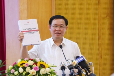 Công bố ‘Sách trắng doanh nghiệp Việt Nam 2019’