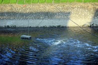 Xả nước Hồ Tây có thể ảnh hưởng tới kết quả làm sạch sông Tô Lịch với công nghệ Nhật Bản