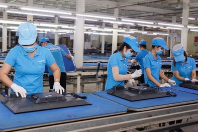 Báo cáo Thủ tướng kết quả vụ Asanzo trước ngày 30/7