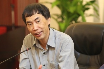 TS. Võ Trí Thành: Nhận định Nhật Bản ít quan tâm đầu tư tại Việt Nam hơn là ‘hơi quá’