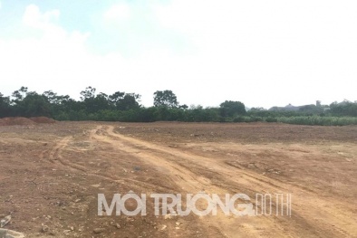 KDC Diamond Star (Quốc Oai): Phân lô bán nền đất trồng cây lâu năm?