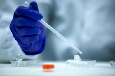 Liệu pháp tế bào gốc cũng có thể gây nguy hiểm