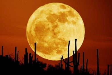 Siêu trăng xuất hiện nguy cơ gây ảnh hưởng tới Trái đất