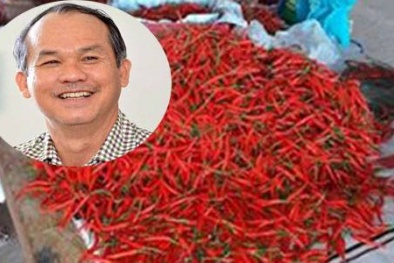 Bầu Đức làm ăn thua lỗ nặng: Vườn ớt kỳ vọng thu nghìn tỷ giờ ra sao?